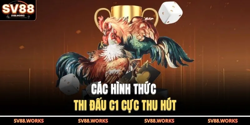 Đá Gà C1 | Điểm Hẹn Của Các Chiến Kê Hàng Đầu 2026 3 Các hình thức thi đấu C1 cực thu hút